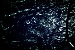 世界短道速滑教练能力提升专项基金公布首批受助名单，世界短道速滑比赛