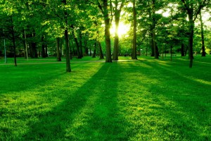 世界短道速滑教练能力认证第十二期考试安排公布，世界短道速滑个人排名