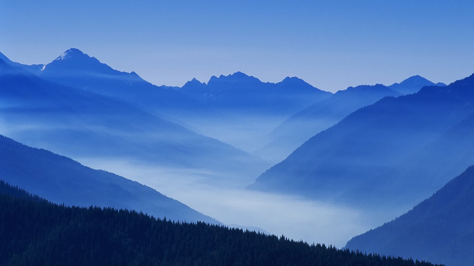 世界短跑线上对抗赛夏季战术集锦与教学解析上线，世界短跑视频教程